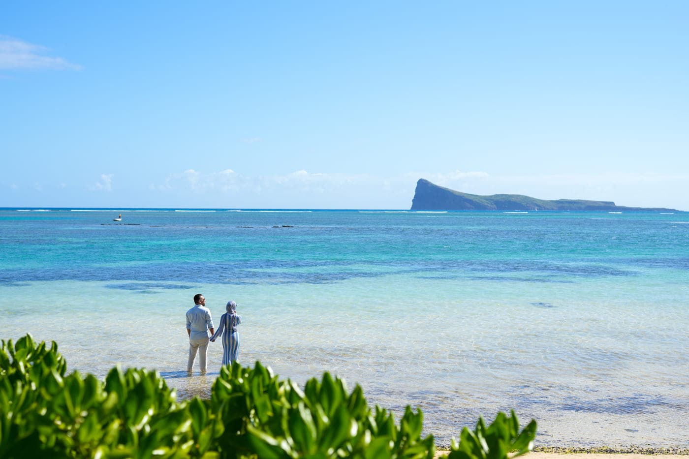 Bain boeuf couple lagoon coin de mire mauritius