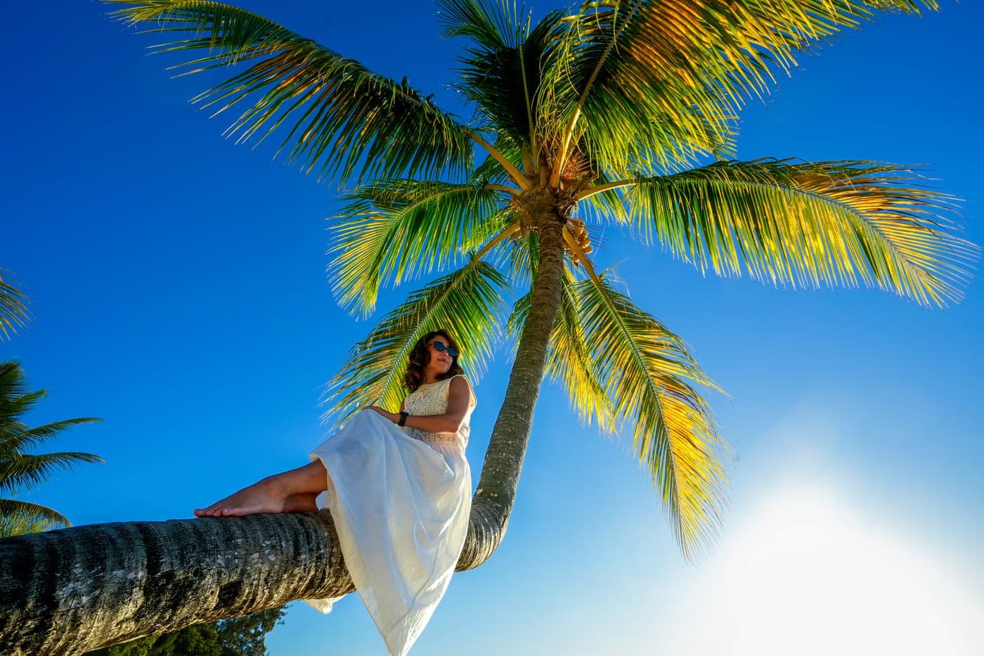 Mauritius beach photo session beneath palm trees