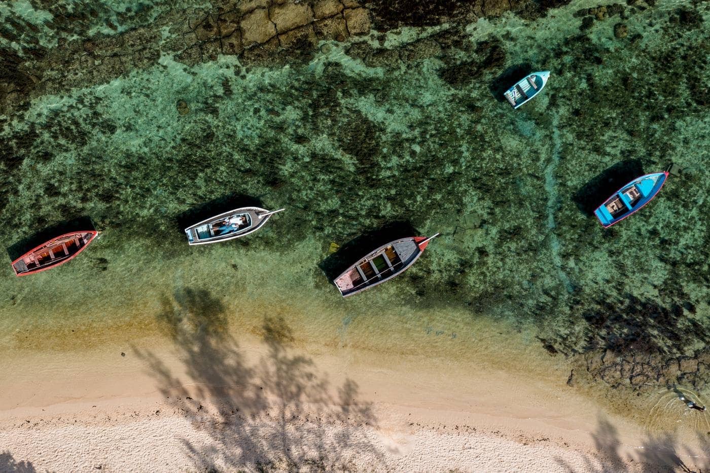 Aerial traditional boats clear lagoon mauritius