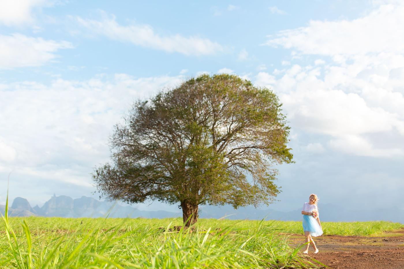 Woman white dress large tree landscape mauritius